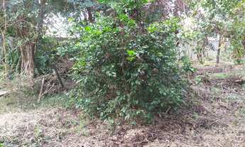 Imagem 4: Chácara no JOÃO JABOUR para venda com 115 m² com 2 quartos em uma área de 1044 m²