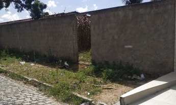 Imagem: Terreno próximo ao cemitério Morada da