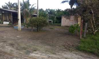 Imagem: Pequeno sítio na vila barauana