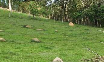 Imagem 5: 01,Lote/Terreno para venda tem 600 metros quadrados em Jacareí - Igaratá - São Paulo