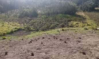 Imagem 3: Fazenda/Sítio/Chácara para venda tem 100 metros quadrados com 4 quartos