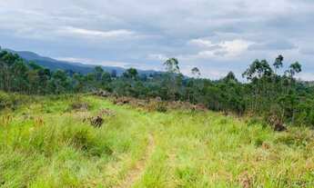 Imagem 3: Lote/Terreno para venda possui 600 metros quadrados com 1 quarto em Bela Vista - São Paulo