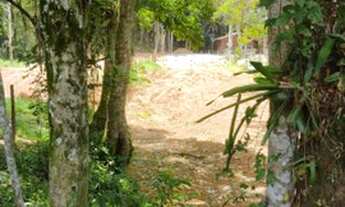 Imagem 3: Vendo terreno 1100 mt palhoça