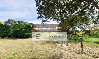 Imagem 4: Fazenda de Oportunidade - São 14 Alqueires ! Região de Goianésia-GO !