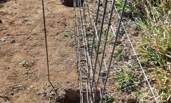 Imagem 2: Terreno de 25080mt JD Florença