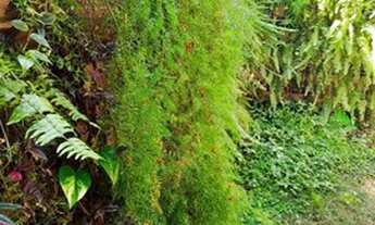 Imagem 6: Casa em Condomínio para Venda em Jundiaí, Engordadouro, 3 dormitórios, 1 suíte, 2 banheiro