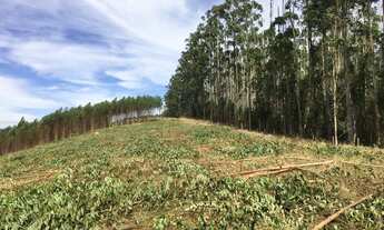 Imagem 6: Terrenos maravilhosos