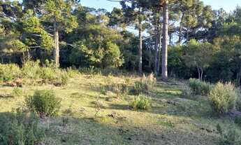 Imagem 2: Linda Chácara Urbana em Piraí do Sul