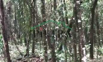 Imagem 6: Nova Lima - Loteamento/Condomínio - Pasárgada