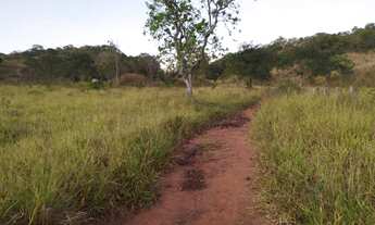 Imagem: Fazenda 71 alqueires em Minaçu Goiás