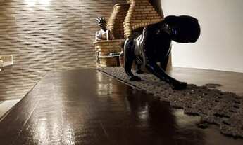 Imagem 5: Fazenda para venda tem 300000 metros quadrados em Centro - Morro do Pilar - MG