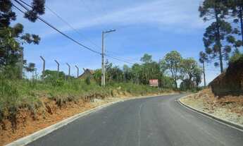 Imagem 2: Terreno à venda, 126000 m² por R$ 40.000.000,00 - Thomaz Coelho - Araucária/PR