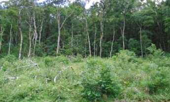 Imagem 2: Terreno para Venda em Nova Friburgo, MURY, 99 vagas