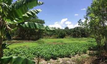 Imagem 7: Vendo Sítio de 1 Hectare em Horizonte(CE) - Oportunidade!