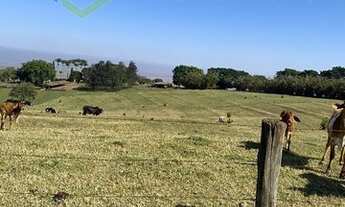Imagem 7: Santa Maria da Serra - Fazenda - Área Rural de Santa Maria da Serra