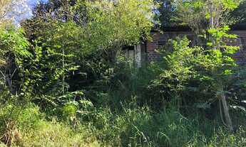 Imagem 4: Chácara na ERS 452 - Vale Real - RS