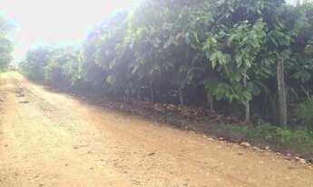 Imagem 4: Vendo um Sítio com Casa Sede