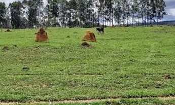 Imagem 6: Fazenda/Sítio/Chácara para venda tem 726000 metros quadrados em Rive - Alegre - ES