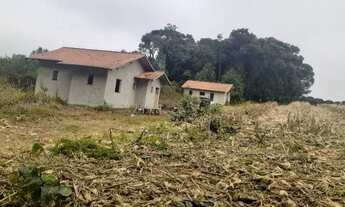 Imagem 5: Terreno / Área em São Bento do Sul