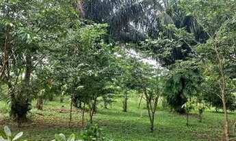 Imagem 3: VENDO OU TROCO CHÁCARA