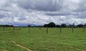 Imagem 3: Fazenda/Sítio/Chácara para venda tem 726000 metros quadrados em Rive - Alegre - ES