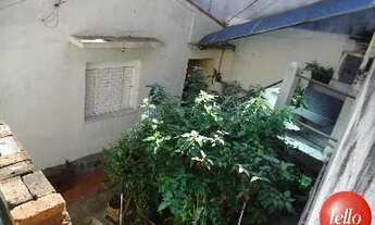 Imagem 7: São Paulo - Terreno Padrão - Tatuapé