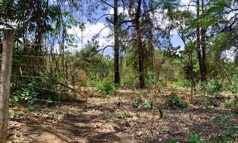 Imagem: Lote 1.000m² no centro de Vargem Grande