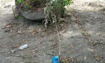 Imagem 2: Vende-se ou troco um Sítio