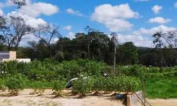 Imagem 6: Betim e região Caio Martins