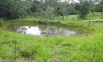 Imagem 3: VENDO CHÁCARA RICA EM ÁGUA SANTO ANTÔNIO DESCOBERTO GO PORTEIRA FECHADA