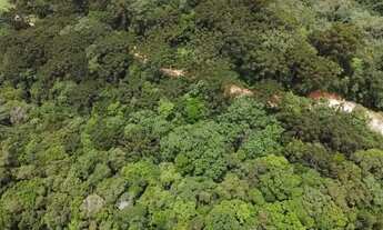 Imagem 3: Chácaras de 2 hectares com muita água