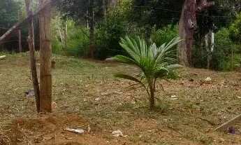 Imagem 6: Terreno em Itacaré-Ba