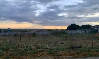 Imagem 4: Lote na 26 de setembro (cana do reino