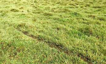 Imagem 3: Lote/Terreno para venda com 600 metros quadrados em Centro - Jacareí - SP