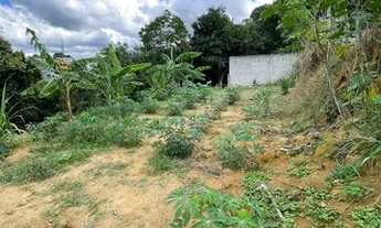 Imagem 3: Vendo/troco chácara porto dourado 1000m2