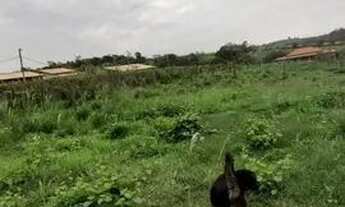 Imagem 4: Chácara Monte Mor 5 mil metros