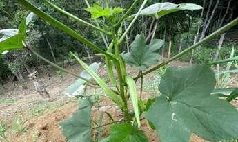 Imagem 5: Vendo/troco chácara porto dourado 1000m2