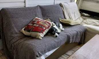 Imagem 7: Quarto individual em casa feminina e good vibes