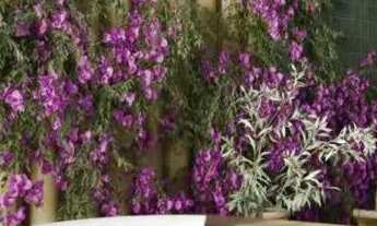 Imagem 4: RNU - FLAT EM PORTO DE GALINHAS, 20m do MAR - ARGO SMART FLAT , EXCELENTE INVESTIMENTO