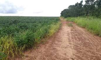 Imagem 8: Fazenda c/ 720he, sendo 500he em lavoura, Município de Rondonópolis-MT