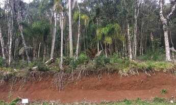 Imagem 4: Terreno no Loteamento Terras Altas em Gramado!