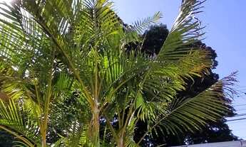 Imagem: Casa a venda Jardim Panorama Sarandi