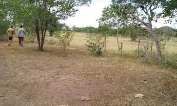 Imagem 5: Excelente oportunidade de comprar uma fazenda às margens do rio Jacuipe com 136t