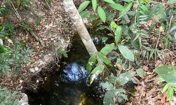 Imagem 4: Vende-se chácara município de Vianópolis 25 km da cidade valor 150 mil