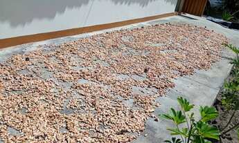 Imagem 10: Sítio à 9km de Laje/Ba