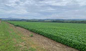 Imagem 5: Fazenda 42 alqueires Itaberaí Goiás