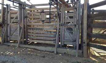 Imagem 7: OPORTUNIDADE ÚNICA!!! Fazendinha de 38 hectares as margens da BR a 12 km de Unaí MG