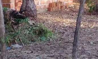 Imagem 3: Vendo terreno Itapipoca na praia da Baleia