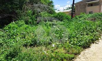 Imagem 6: Terreno Financiável em Área em Expansão Para Venda no Mosqueiro