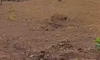 Imagem 5: Excelente Lote Incra 9 Oportunidade